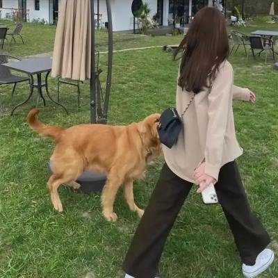 那女人的冷脸算盘
