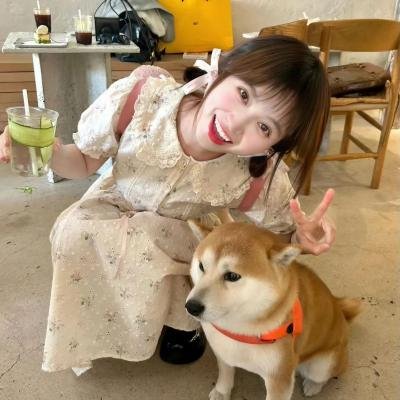 老鼠爱上猫